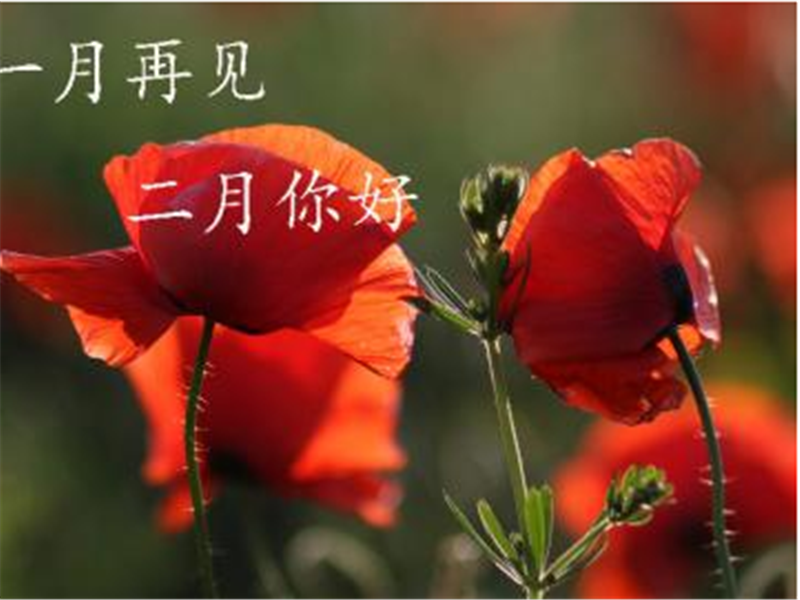 1月再見、2月你好——轉載網(wǎng)絡圖片